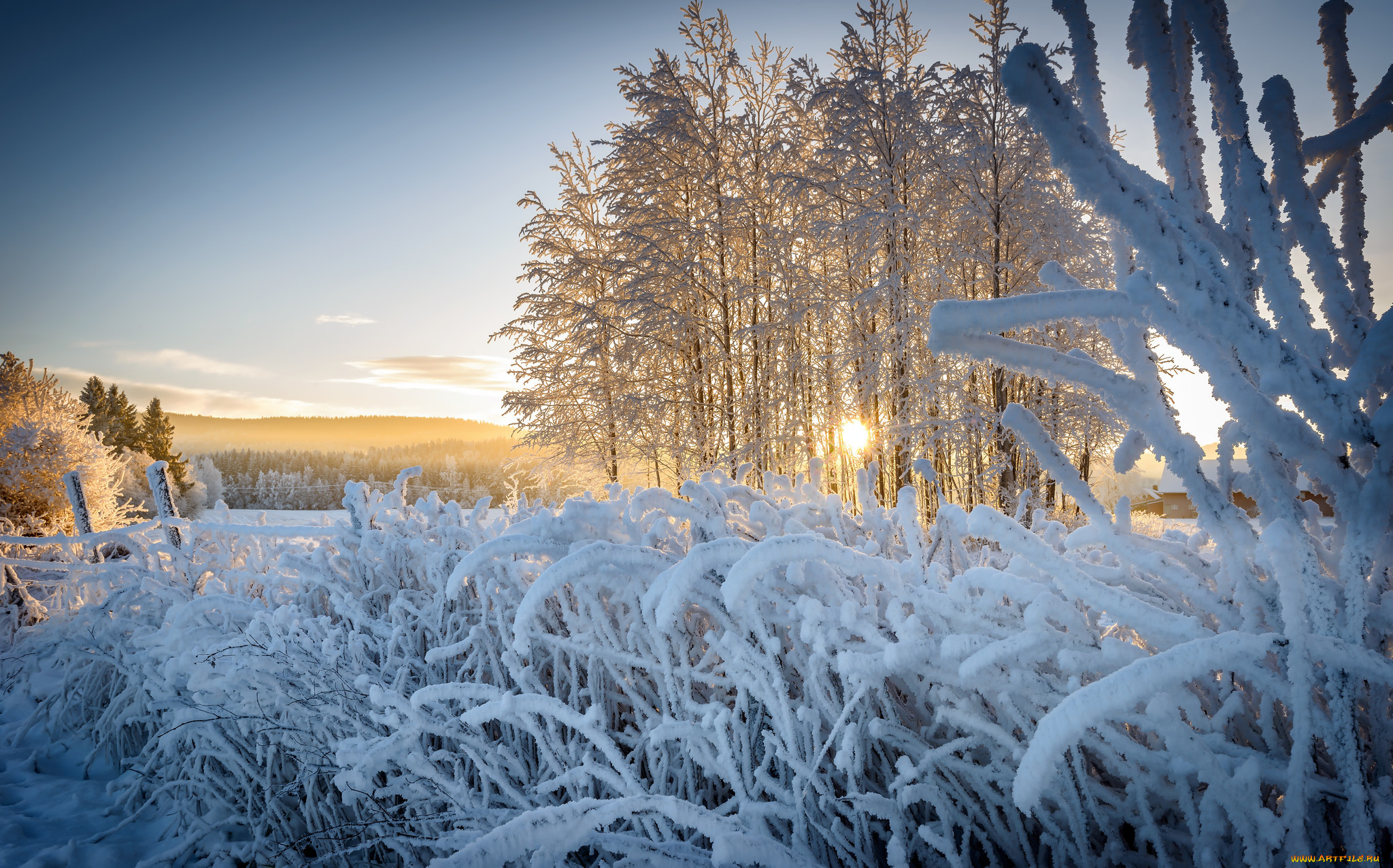 Жизнь зимой природа. Природа Татарстана зима. Природа Татарстана зимой. Зимняя природа лучшие кадры. Зима Салехарда природа.